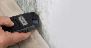Moisture meter testing for mold assessment